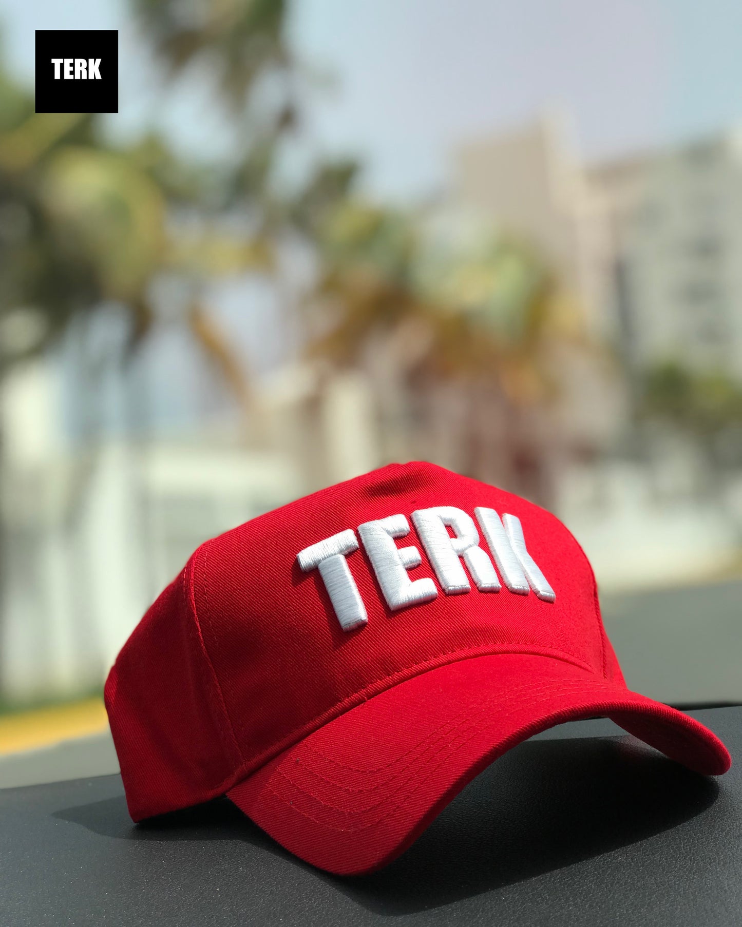 TERK 3D Embroidery Hat — Red